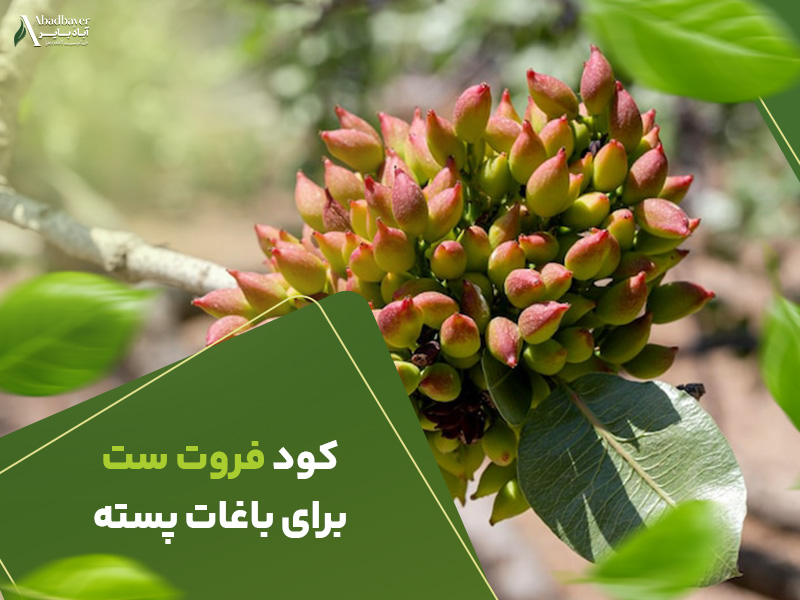 فروت ست برای باغات پسته