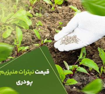 قیمت نیترات منیزیم پودری