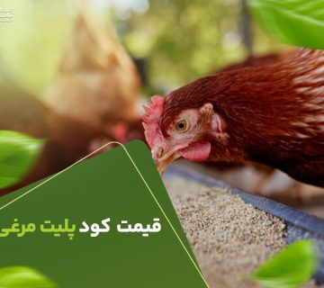 قیمت کود پلیت مرغی