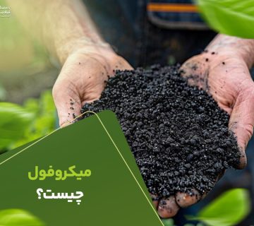 میکروفول چیست