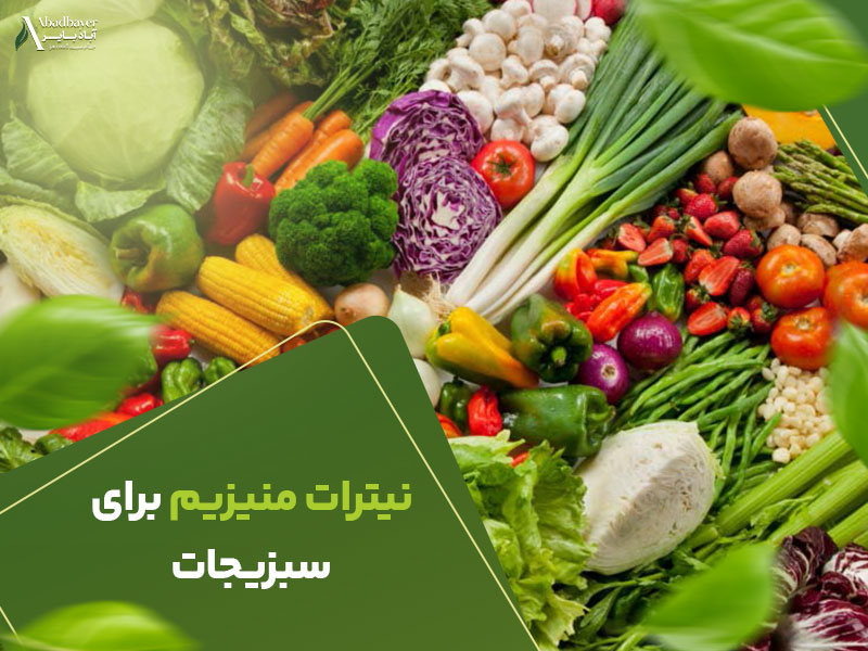 نیترات منیزیم برای سبزیجات