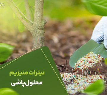 نیترات منیزیم محلول پاشی