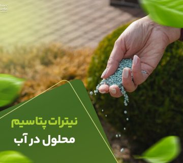 نیترات پتاسیم محلول در اب