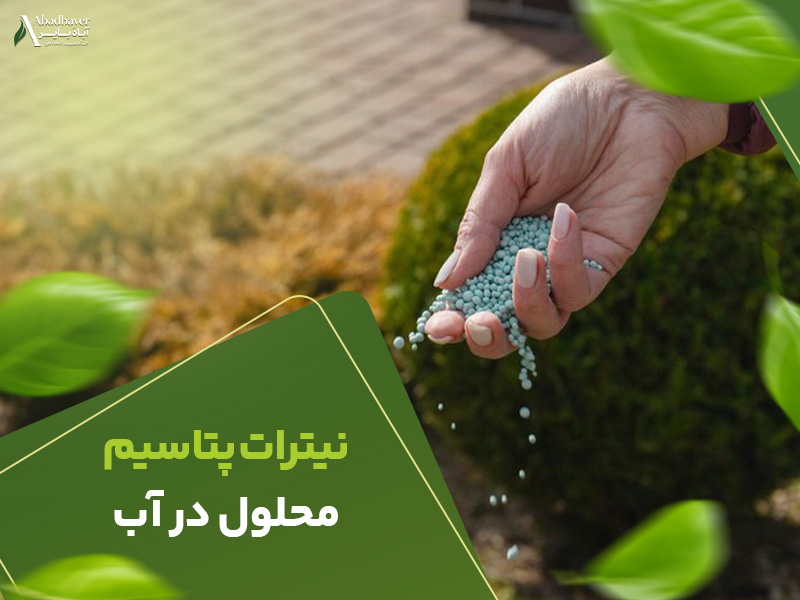 نیترات پتاسیم محلول در اب