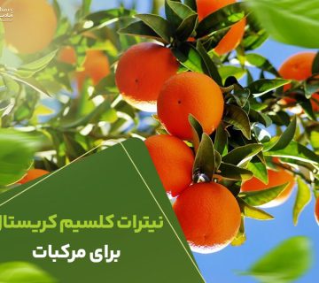 نیترات کلسیم کریستال برای مرکبات