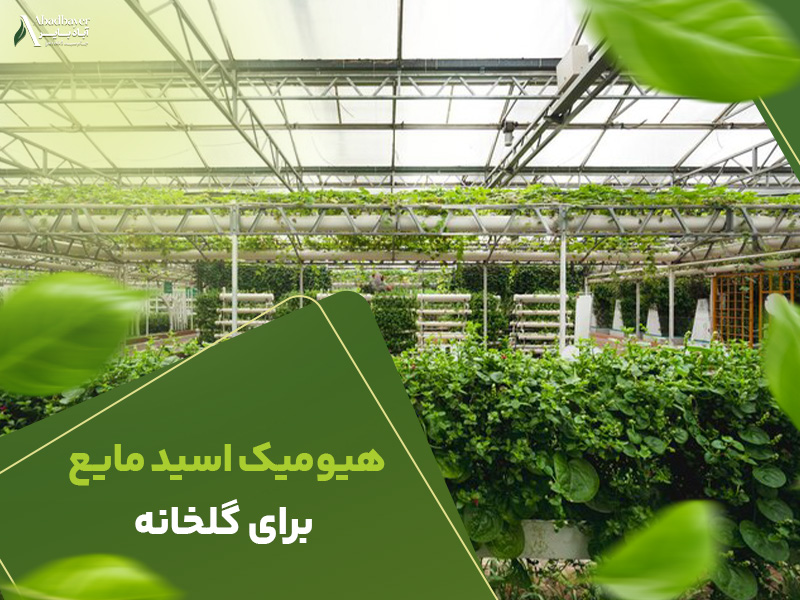 هیومیک اسید مایع برای گلخانه