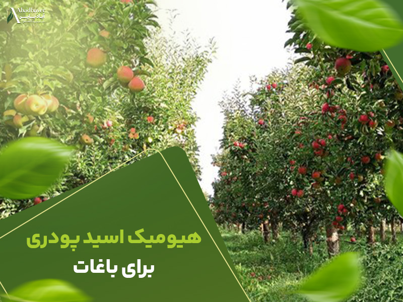 هیومیک اسید پودری برای باغات