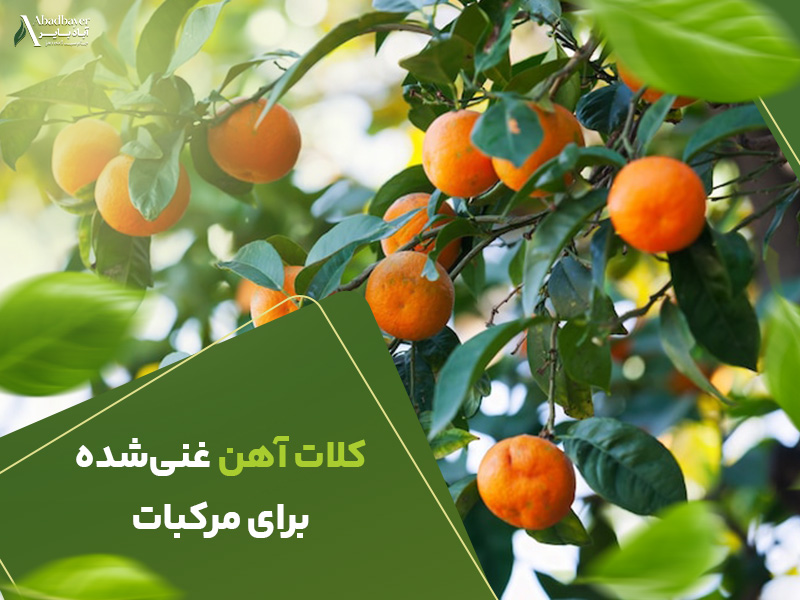 کلات اهن غنی شده برای مرکبات