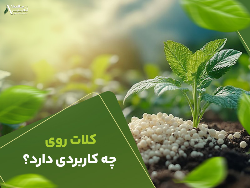 کلات روی چه کاربردی دارد