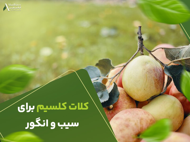 کلات کلسیم برای سیب و انگور