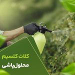 کلات کلسیم محلول پاشی
