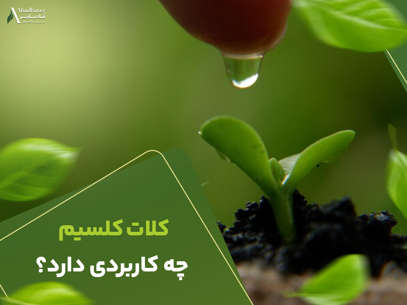 کلات کلسیم چه کاربردی دارد