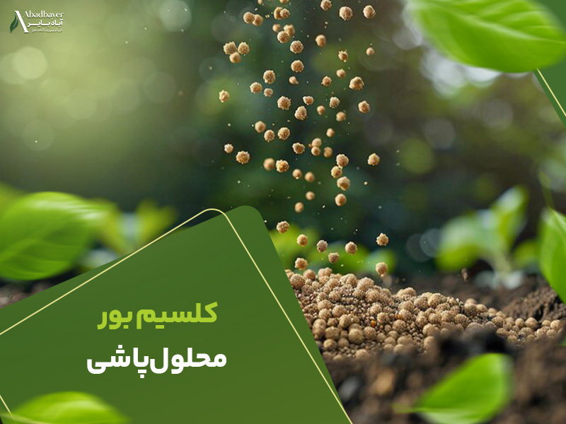 کلسیم بور محلول پاشی