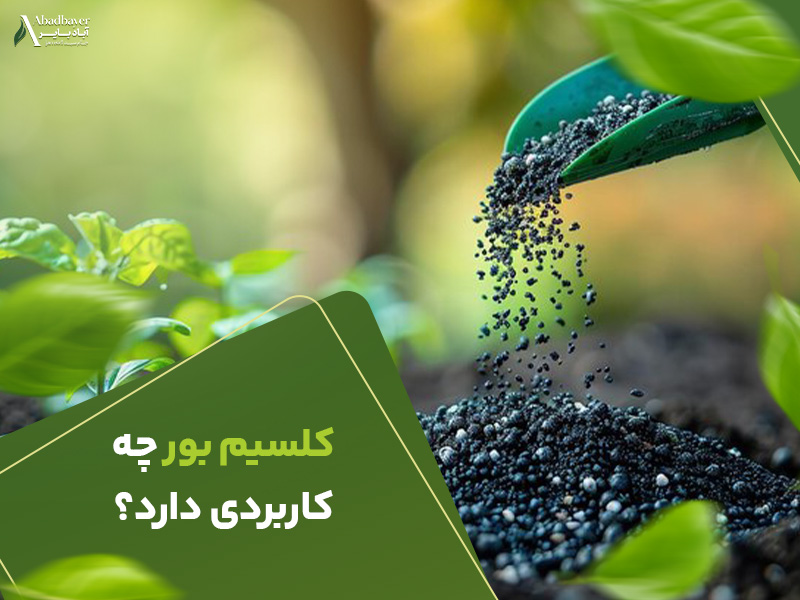 کلسیم بور چه کاربردی دارد