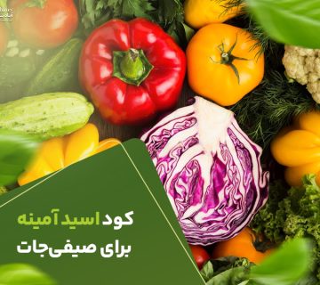 کود اسید امینه برای صیفی جات