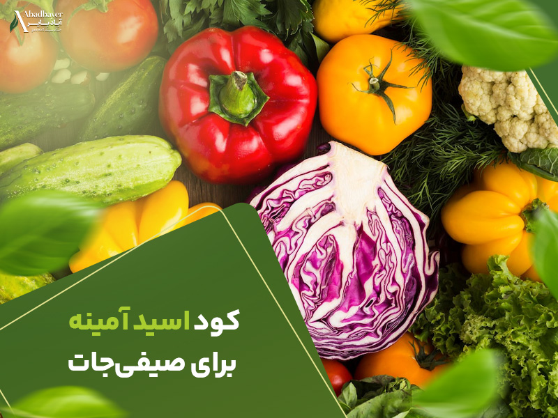 کود اسید امینه برای صیفی جات