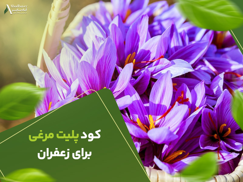 کود پلیت مرغی برای زعفران