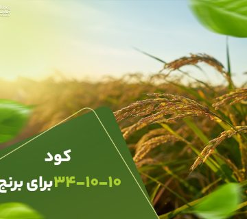 کود341010برای برنج