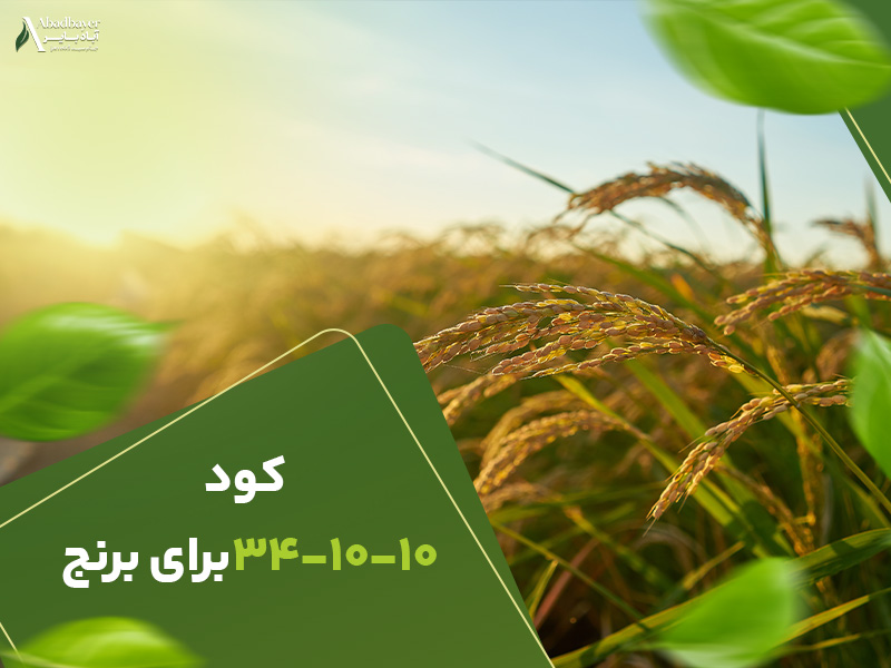 کود341010برای-برنج