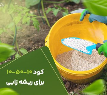 کود105010برای ریشه زایی