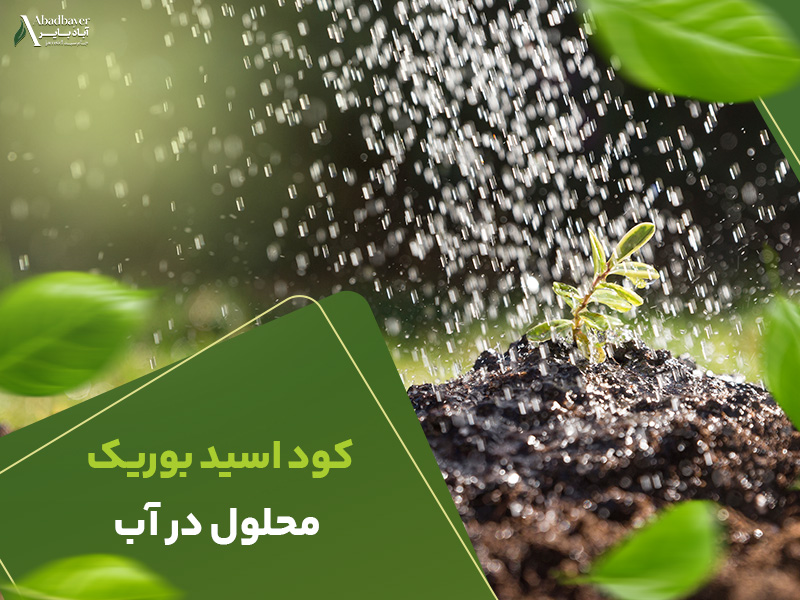 کوداسیدبوریک محلول در اب