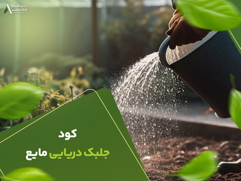 کودجلبک دریایی مایع