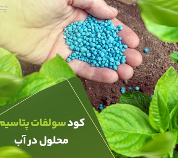 کودسولفات پتاسیم محلول در اب