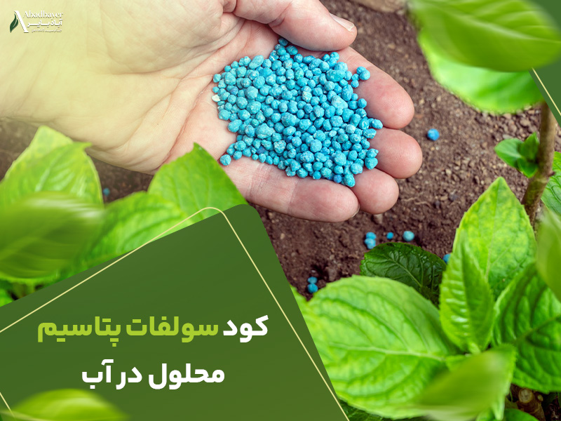 کودسولفات پتاسیم محلول در اب