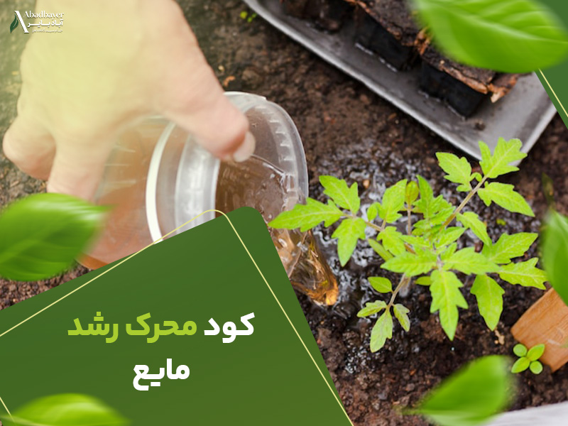 کودمحرک رشد مایع