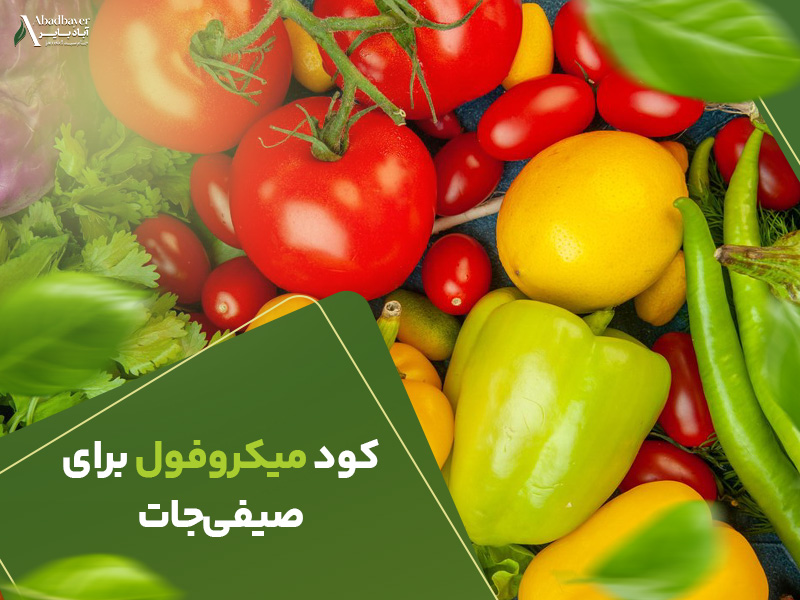 کودمیکروفول برای صیفی جات