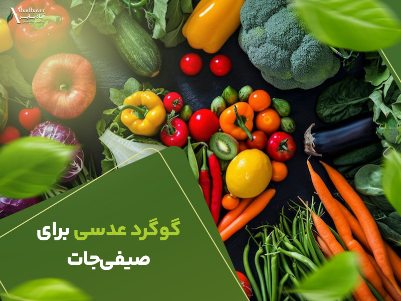 گوگرد عدسی برای صیفی جات