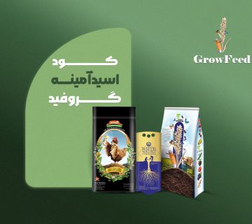 اسید آمینه گروفید
