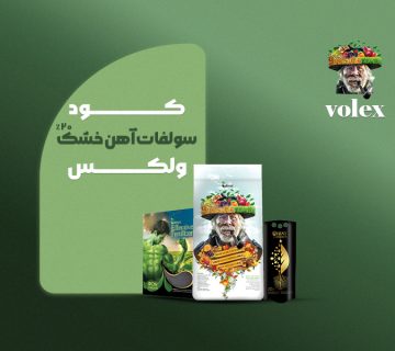 اهن خشک ولکس