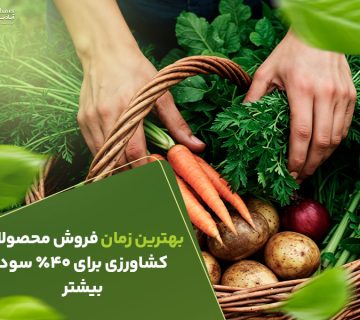 بهترین زمان فروش محصولات کشاورزی برای ۴۰٪ سود بیشتر