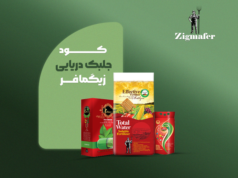 جلبک دریایی زیگمافر