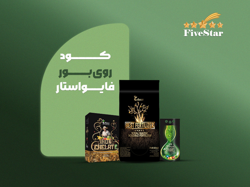 روی و بور فایواستار