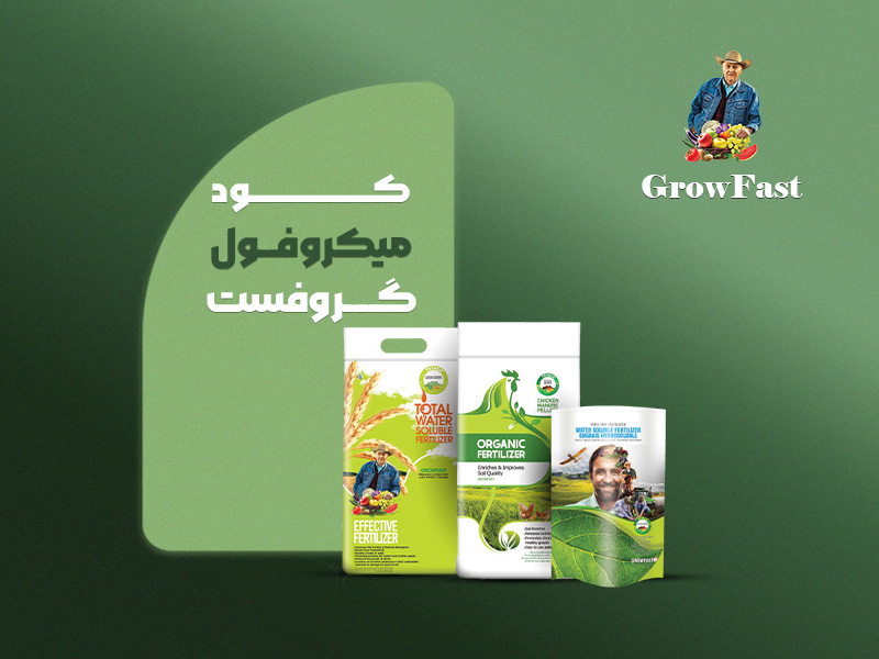 میکروفول گروفست