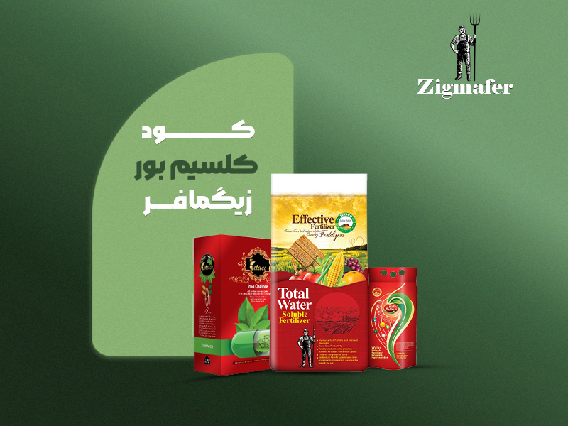 کلسیم بور زیگمافر