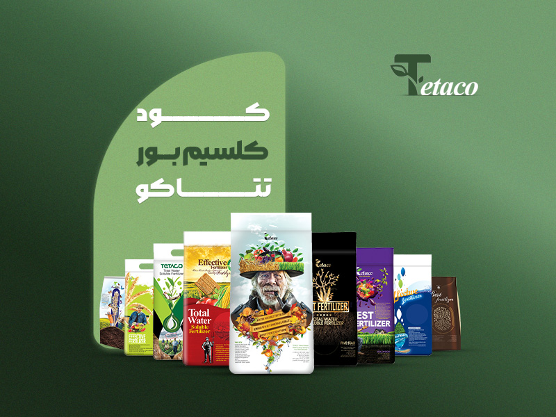 کلسیم بورتتاکو