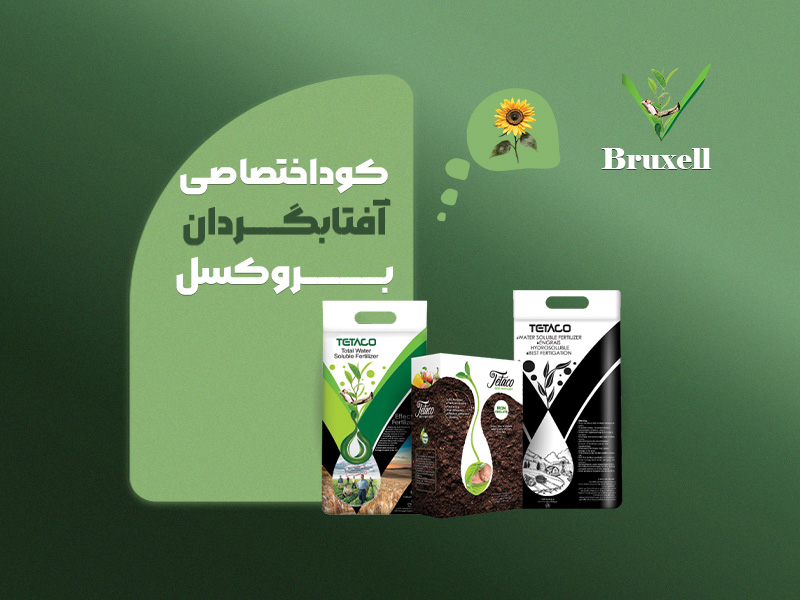 کود اختصاصی آفتابگردان بروکسل