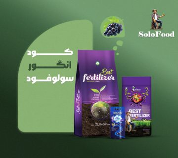 کود اختصاصی انگور سولوفود
