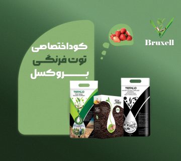 کود اختصاصی توت‌فرنگی بروکسل