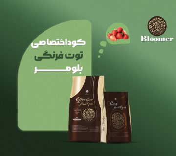 کود اختصاصی توت‌فرنگی بلومر