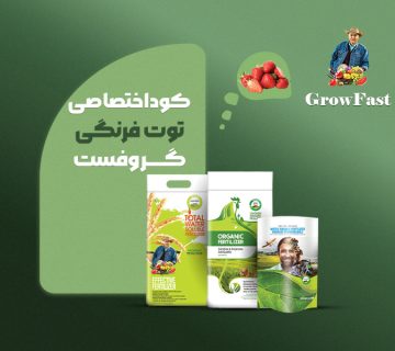 کود اختصاصی توت‌فرنگی گروفست