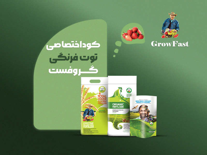 کود اختصاصی توت‌فرنگی گروفست