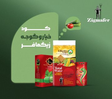 کود اختصاصی خیار و گوجه زیگمافر