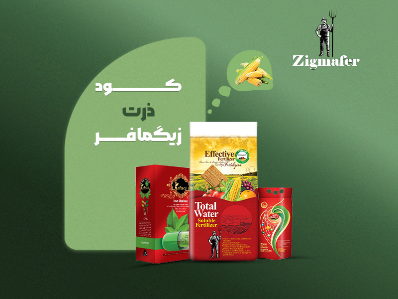 کود اختصاصی ذرت زیگمافر