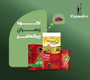 کود اختصاصی زعفران زیگمافر