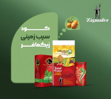 کود اختصاصی سیب‌زمینی زیگمافر