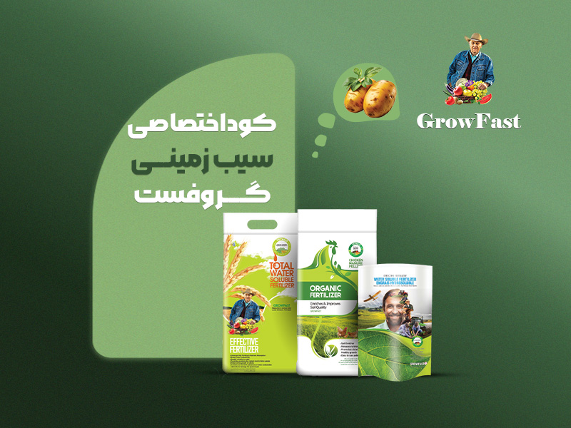 کود اختصاصی سیب‌زمینی گروفست
